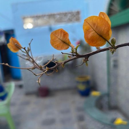 Casa Morisca Villa Szidi Ifni Kültér fotó