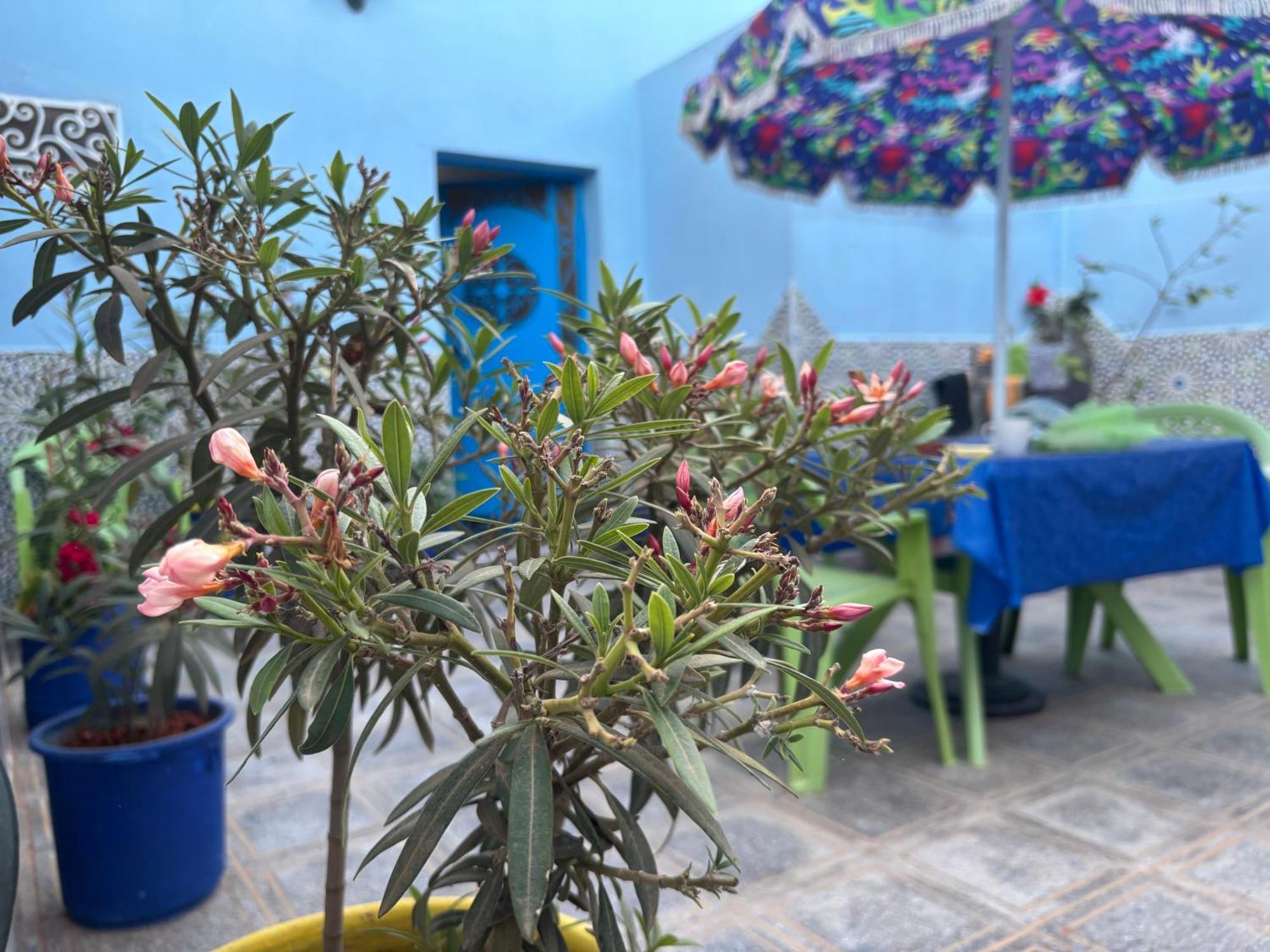 Casa Morisca Villa Szidi Ifni Kültér fotó