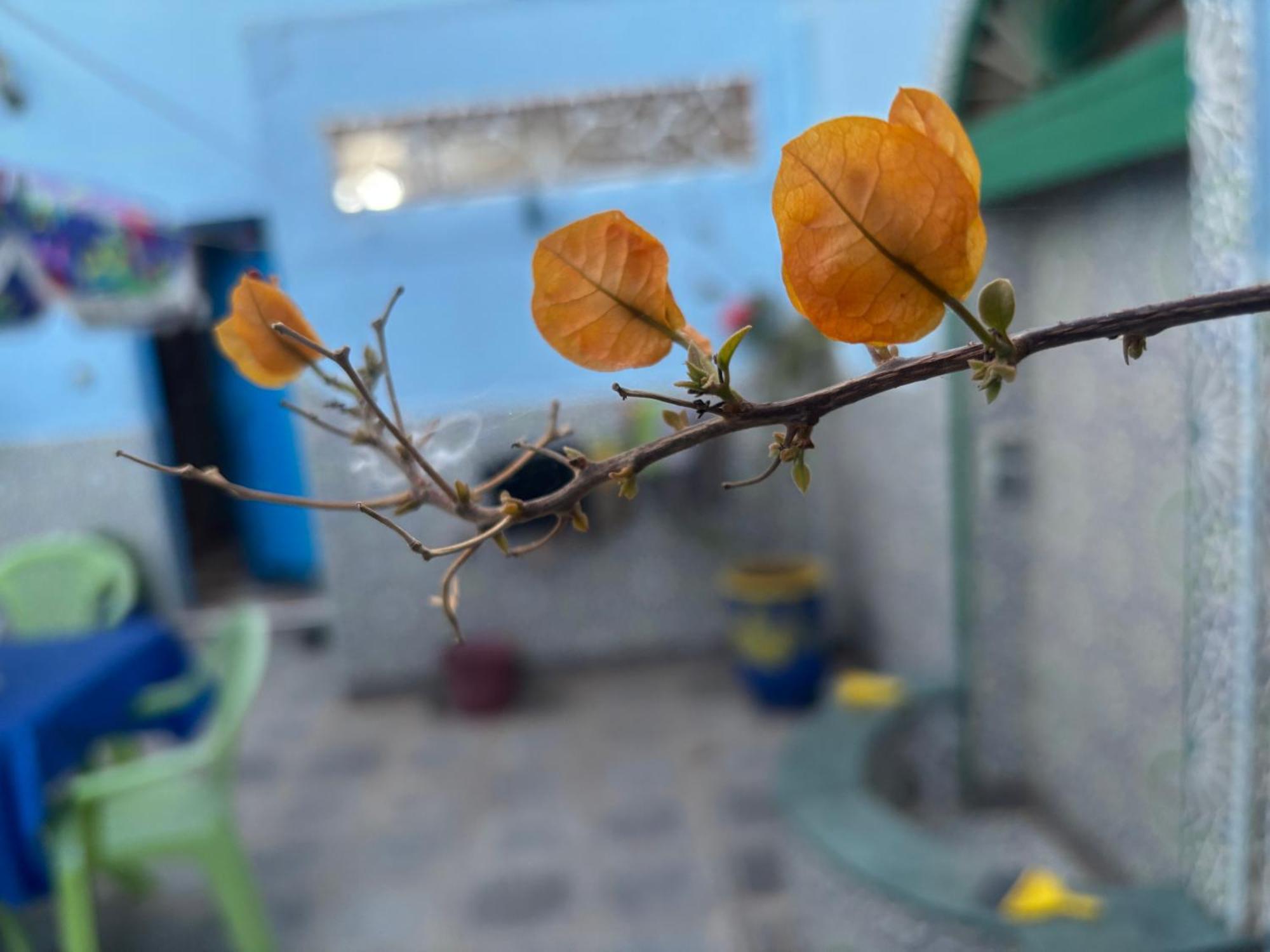 Casa Morisca Villa Szidi Ifni Kültér fotó